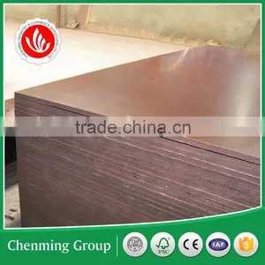 Quality Marine Plywood Doors Design Price thumbnail-2
