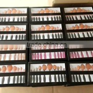 10pcs Toothbrush Make Up Brushes Kit Private Label Rose Gold Foundation Powder Makeup Oval Cream Puff Brushes thumbnail-6
