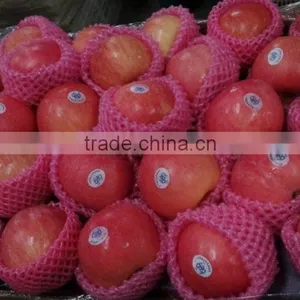 Fresh Fuji Apple thumbnail-3