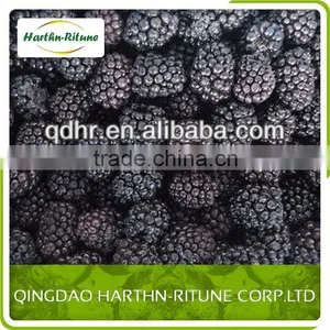 Grade a Frozen Blackberry thumbnail-5