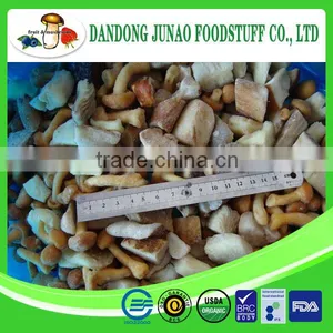 IQF Frozen Fresh Bulk Mixed Wholesale Mushroom Prices thumbnail-1