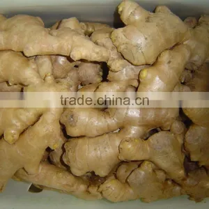 Fresh Ginger thumbnail-3