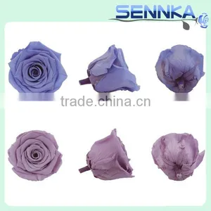2016 the Best Wholesale Creative Gifts Preserved Fresh Flower Roses thumbnail-6