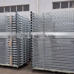 European Tubular Sow Gestation Stalls thumbnail-6