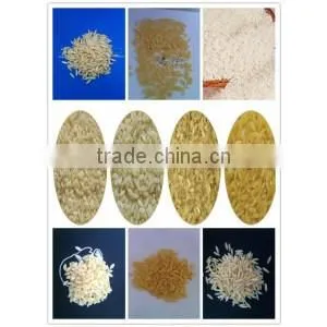 Supply Full Automatic Artificial Rice Production Line thumbnail-5
