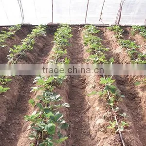 Good Quality 16mm Plastic Drip Irrigation Emitter Pipe for Agriculture thumbnail-3
