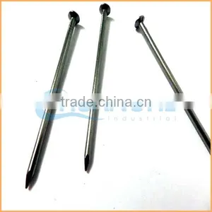 Manufacture High Quality Low Price Construction Common Nail Iron Nail thumbnail-4
