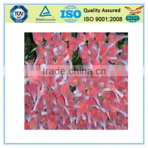 PE Flower Bud Netting thumbnail-4
