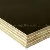 Black Film Faced Plywood thumbnail-1