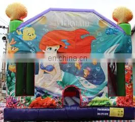Idea Inflatable Co., Ltd. company overview - view 2 thumbnail