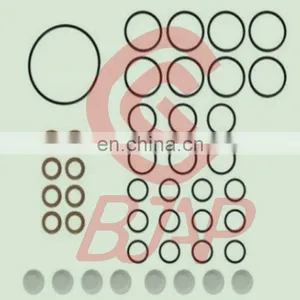 BJAP Injection Pump Repair Kit 800858 thumbnail-1