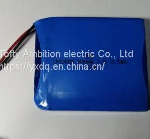 Lithium Polymer Battery thumbnail-1