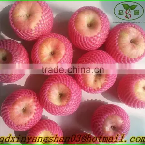 Fresh Apples/APPLES/APPLE thumbnail-3