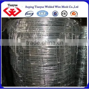 Electro Galvanized Cattle Fence(ISO and SGS) thumbnail-3