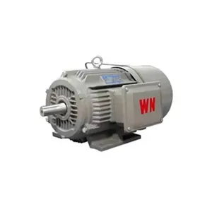 Wannan Motor, Ye5 Series, National Standard Level 1, Ye5-355l1 L-8/185kw 200kw/660v/b3/ip65/b3/b35/b5, Customization Available thumbnail-5