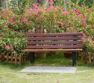 Garden Chair thumbnail-1