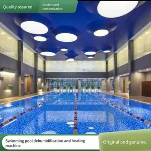 Swimming Pool Water Treatment Equipment, Circulation Filtration System, Swimming Pool Disinfection Equipment, Swimming Pool Equipment Accessories thumbnail-4