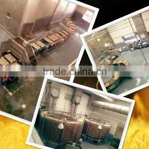 100-Bread Machine Production Line thumbnail-4