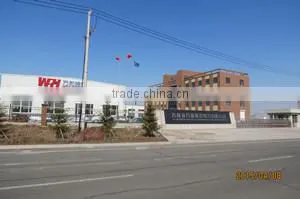 Jilin Wanhe Lighting Co., Ltd. company overview - view 1 thumbnail