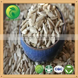 Sunflower Kernels Human Consumption thumbnail-2