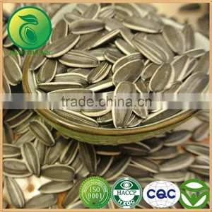 Edible Sunflower Seeds Wholesale For 2015 New Crop thumbnail-1