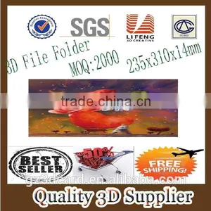 Guangzhou Lifeng High Quality 3d File Folder for Office Wholesale thumbnail-1