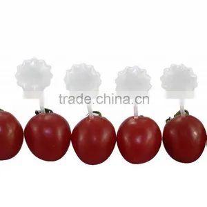 Trade Assurance Disposable Transfer Pipet Plastic Pasteur Pipette Plastic Dropper thumbnail-5