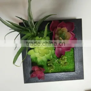 HOT Virbrat Natural Touch Plant Gift Succulent Frame Succulent Plants for Wholesale thumbnail-4