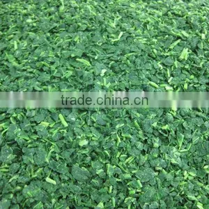 We Are Supply Good Quality IQF Frozen Spinach Cut BQF thumbnail-5
