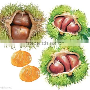 High Grade Dried Chestnuts/health Food/dried Chestnuts for Sale thumbnail-5