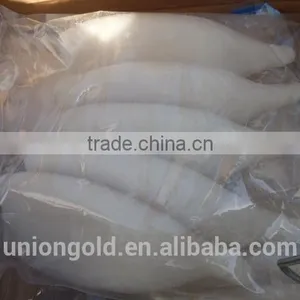 Frozen Squid Tube thumbnail-1