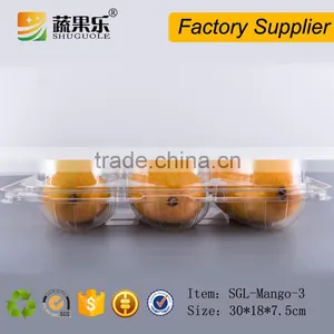 Transparent PET Plastic 3 Mango Box and Tray thumbnail-5