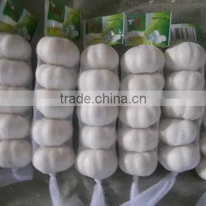 2013 Crop Natural Garlic ,good Quality New Garlic thumbnail-2
