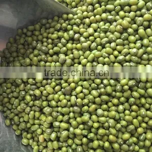 2015 Crop Green Mung Beans, Chinese Green Mung Bean 3.0mm, 3.25mm thumbnail-1