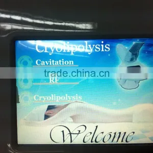 Flabby Skin 2016 Portable Fat Freeze Weight Loss Body Sculpting Portable Cryolipolysis Slimming Slim Machine Body Shaping thumbnail-5