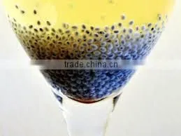 CHIA SEED thumbnail-4