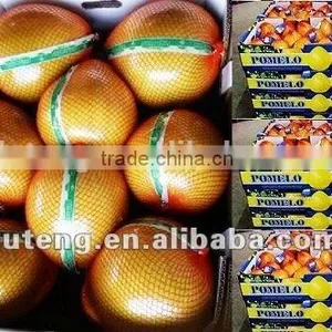 Chinese Fresh Pomelo Honey Pomelo Juicy Pomelo for Sale thumbnail-3
