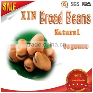 Agricultural Health Food Chinese New Crop Highly Quality Broad Beans Supplier thumbnail-1