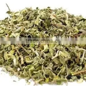 GMP Natural High Quality Damiana Extract/Damiana Leaf Extract/Damiana Leaf Extract Powder thumbnail-4