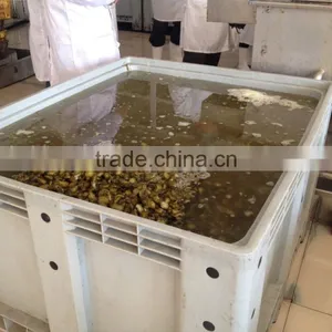 Salted Pickled Cucumber thumbnail-1