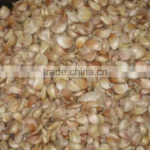 FX-139 Garlic Bulb Breaking Machine Garlic Devider Deviding Machine thumbnail-5