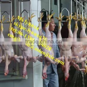 Chicken Slaughter Machine/ Halal Chicken Slaughter Machine Line thumbnail-4