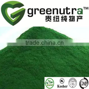 Spirulina Extract Powder thumbnail-1