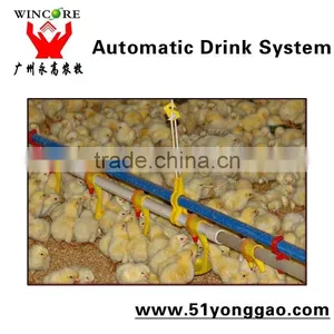 Drinkers for Chickens,automatic Drinker for Chicken thumbnail-2