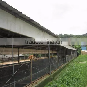 Eonomical Commercial Steel Frame Broiler Chicken House thumbnail-5