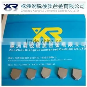 Tungsten Carbide Tip for Rock Segment thumbnail-1