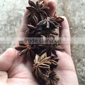 Natural Star Anise Crop 2016 thumbnail-3