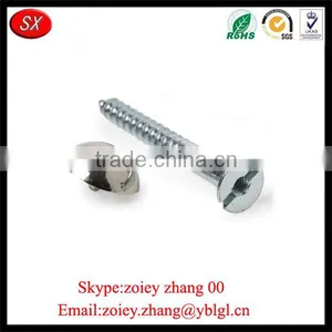 Hrdware Manufacture Machined Process Steel Alloy Fixing Screws thumbnail-2