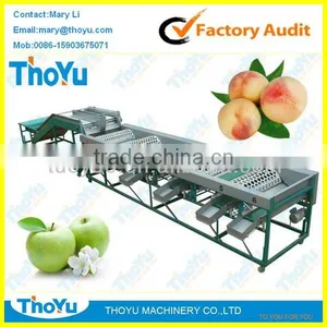 Thoyu Brand Salable Automatic Fruit/Apple/Peach Grading Machine by Size(SMS: 0086-15903675071) thumbnail-1