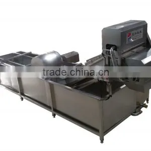 TW-307L Hot Sale Vegetable Washing Machine/ Fruit Washer/Vegetable Cleaning Machine thumbnail-2